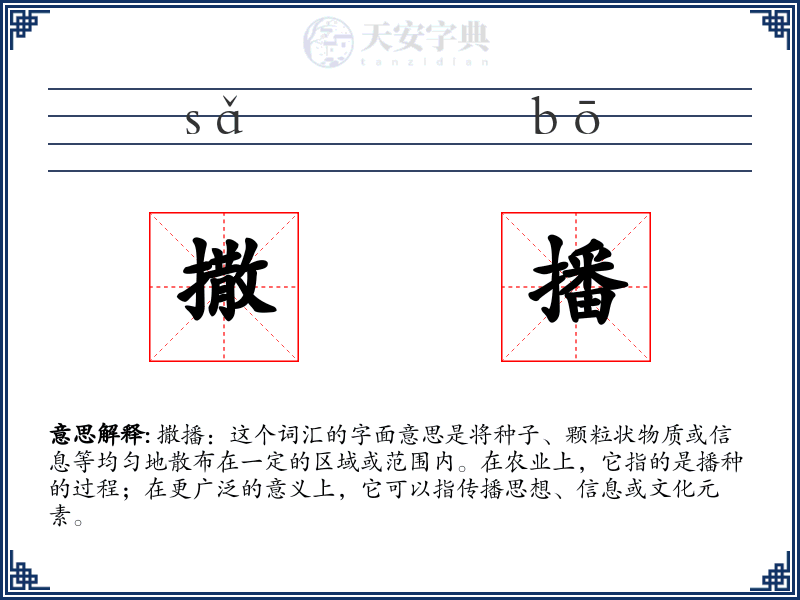 撒播