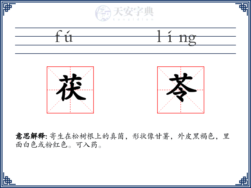 茯苓