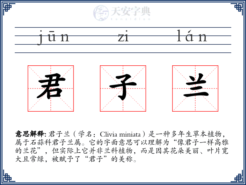 君子兰