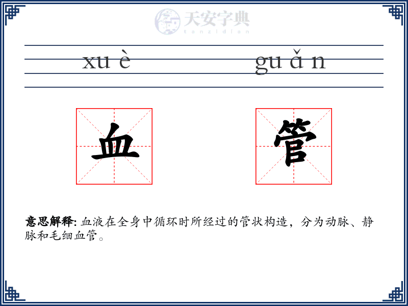血管