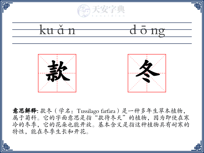 款冬