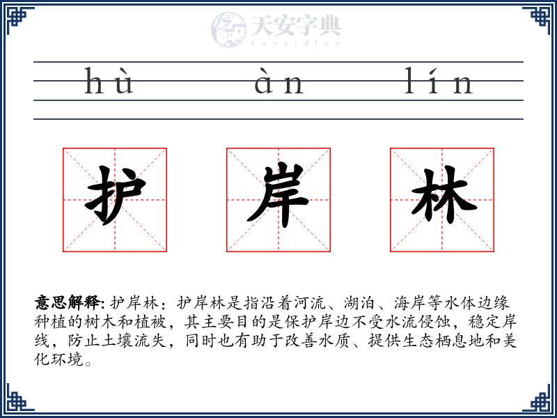 护岸林