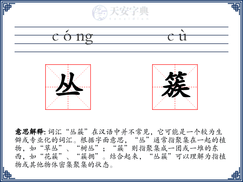 丛簇