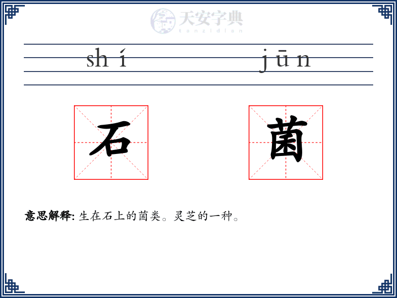 石菌