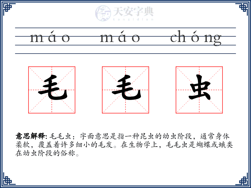 毛毛虫