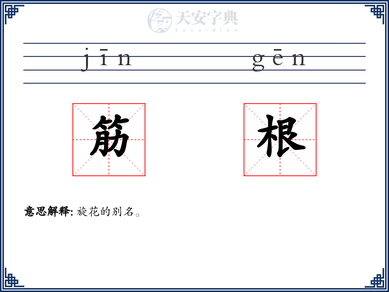 筋根
