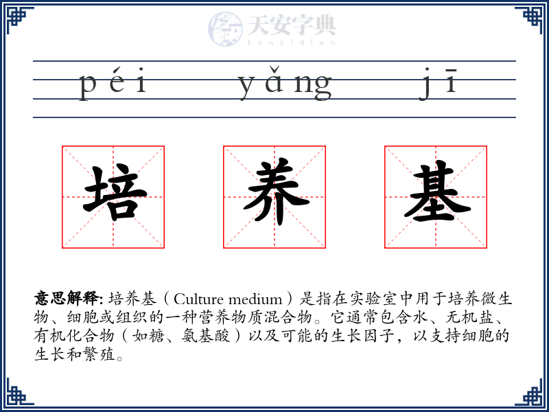 培养基