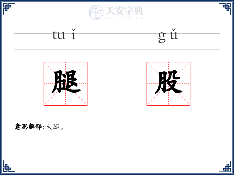 腿股