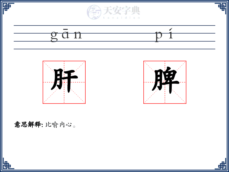肝脾