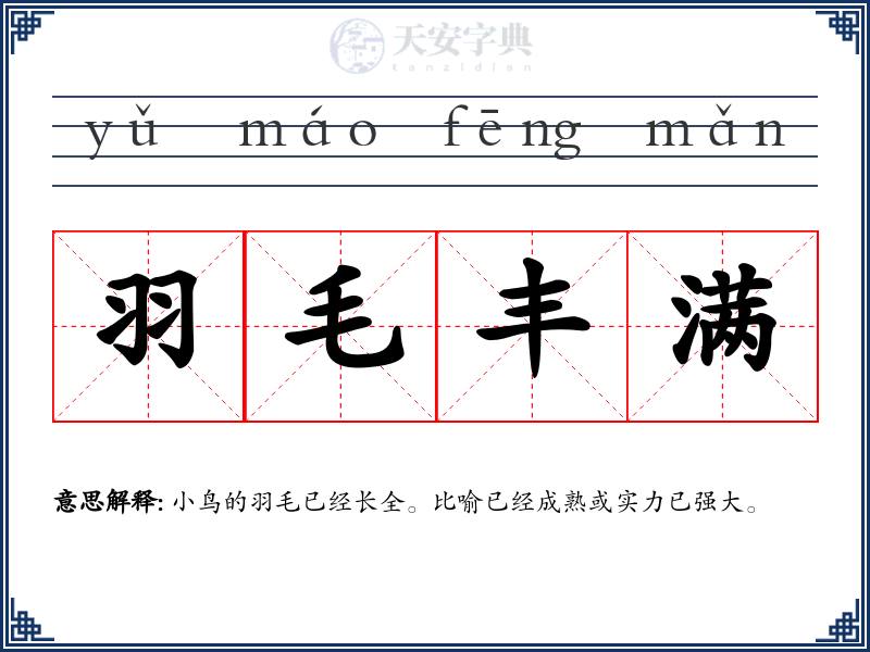 羽毛丰满