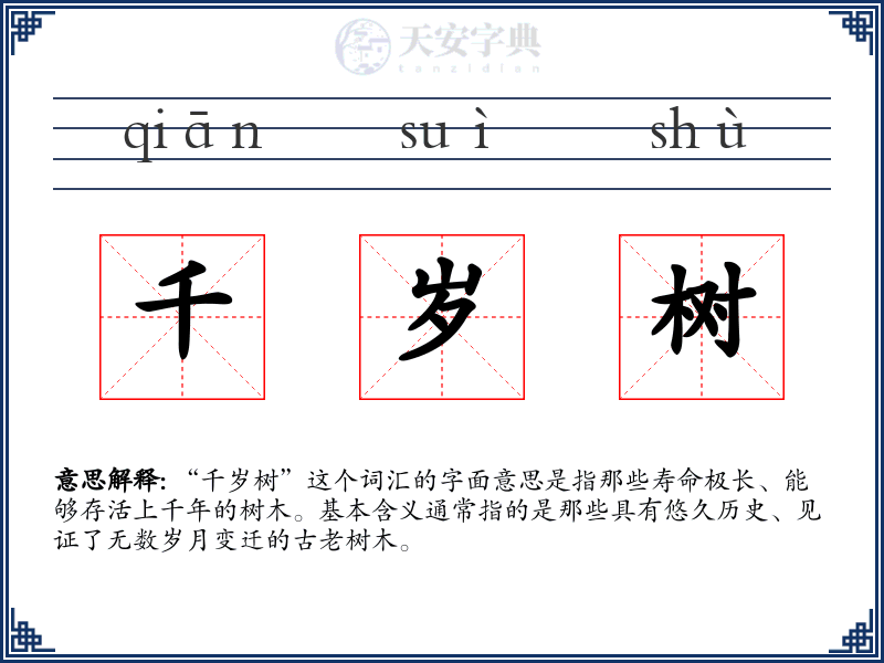 千岁树