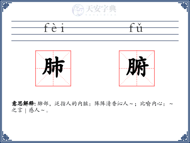 肺腑