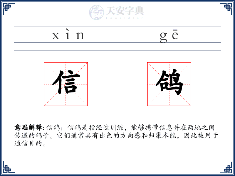 信鸽
