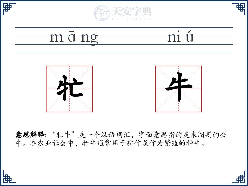 牤牛