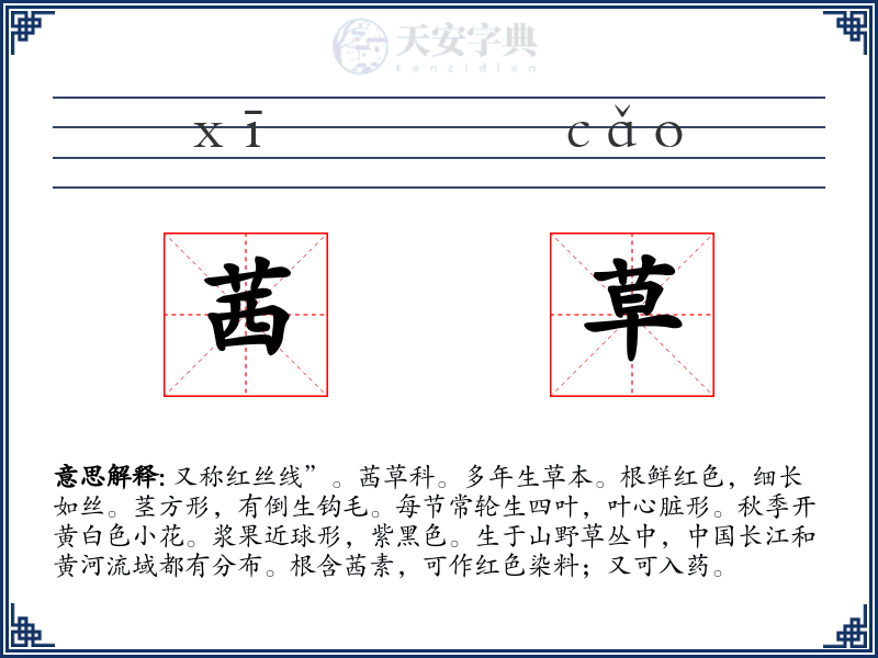 茜草