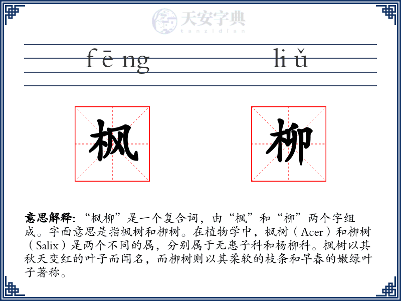 枫柳