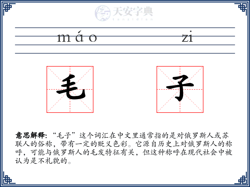 毛子