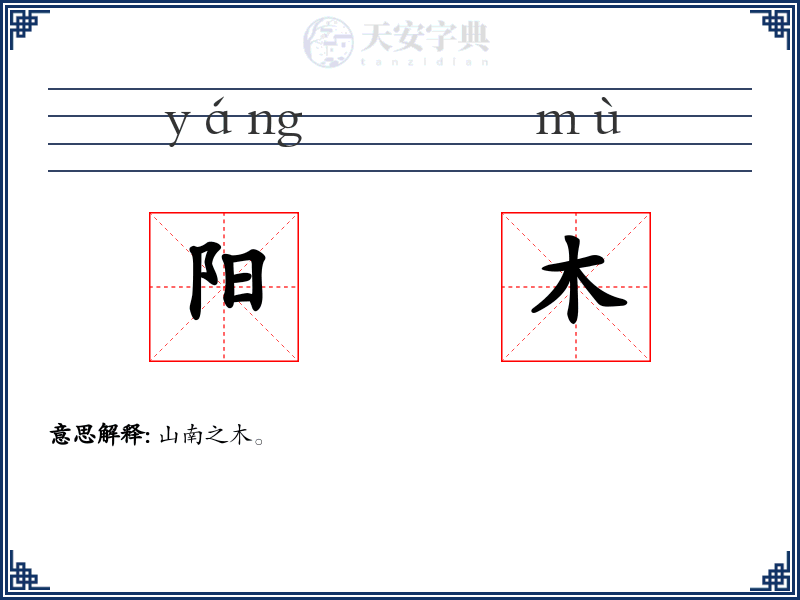 阳木