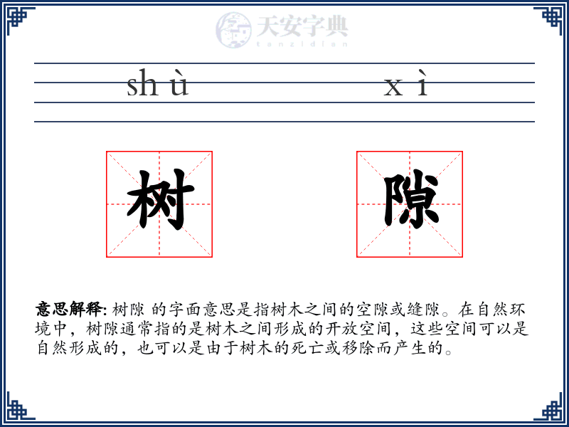 树隙