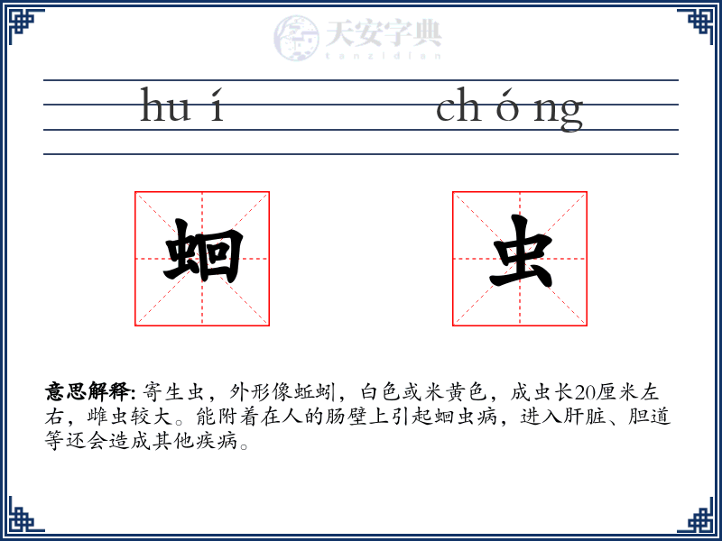 蛔虫