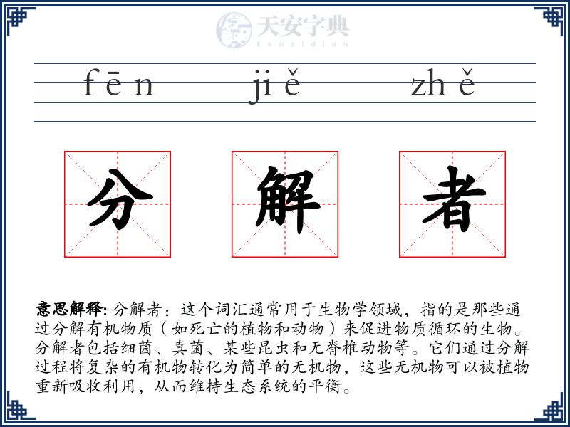 分解者
