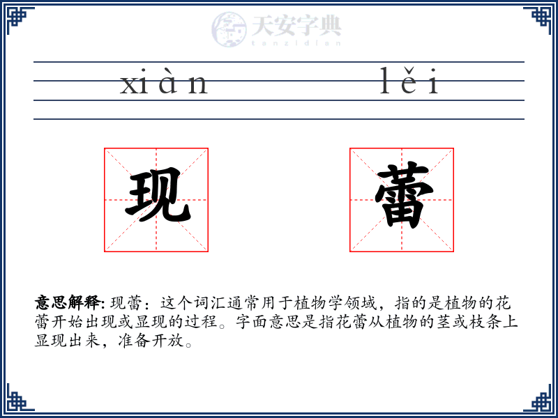 现蕾