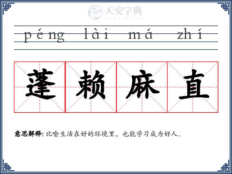蓬赖麻直