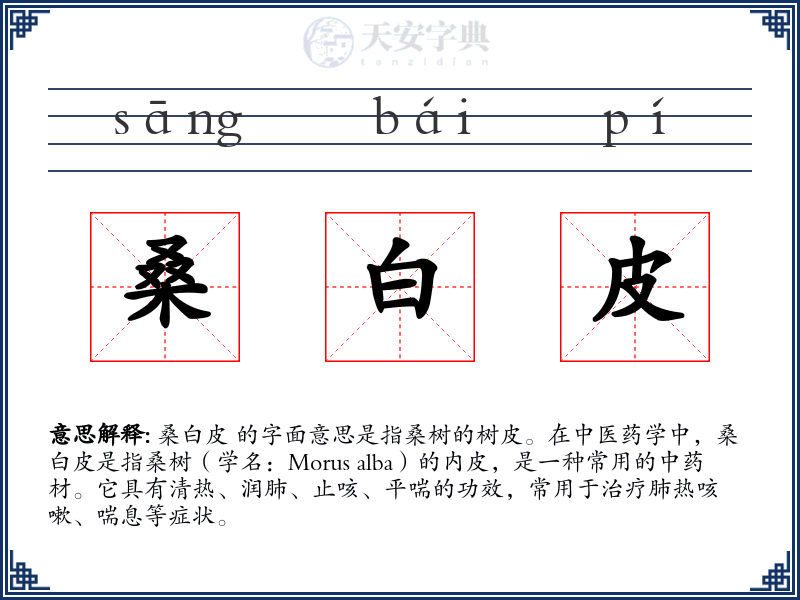 桑白皮