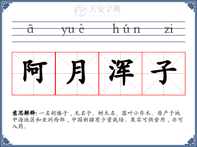 阿月浑子