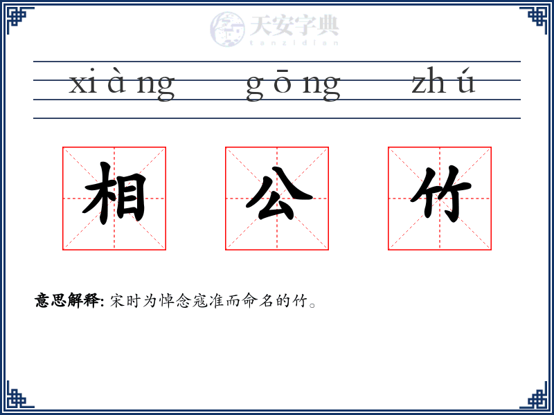 相公竹