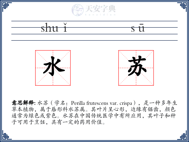 水苏