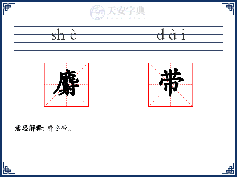 麝带