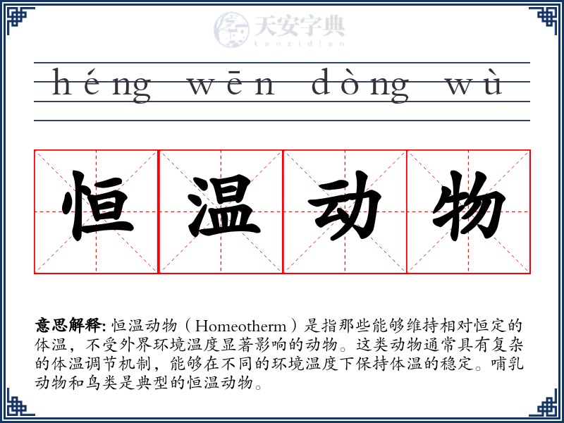 恒温动物