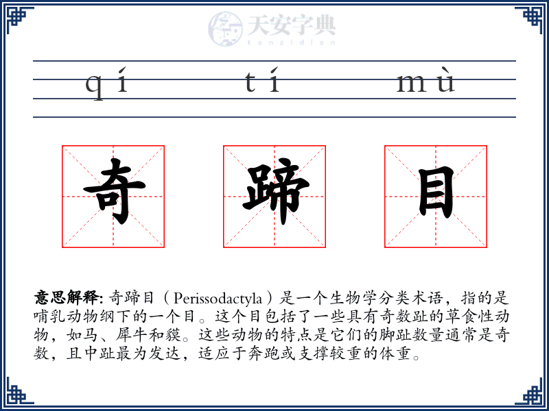 奇蹄目