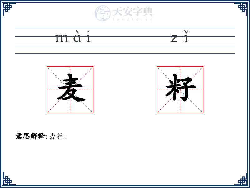 麦籽
