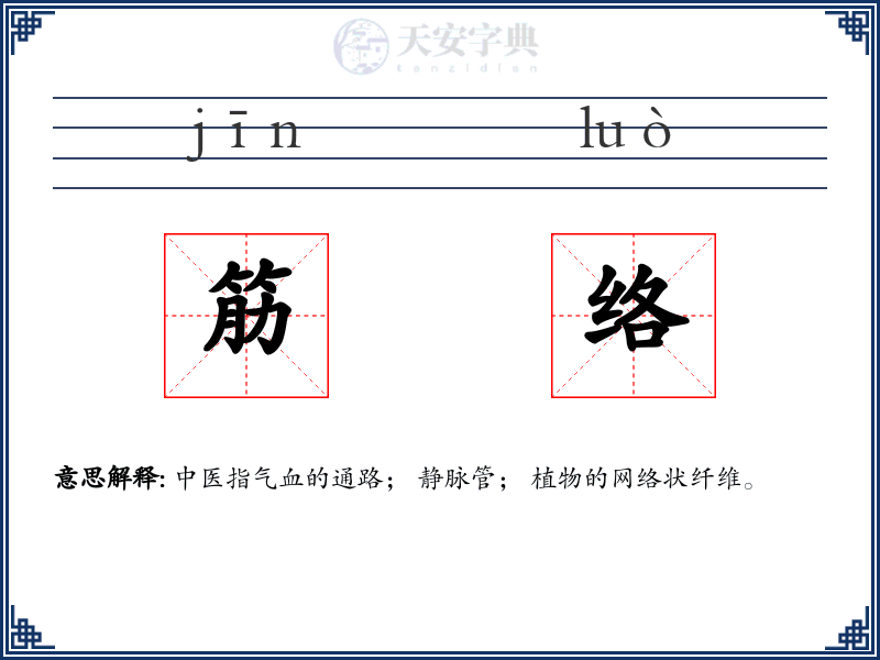 筋络