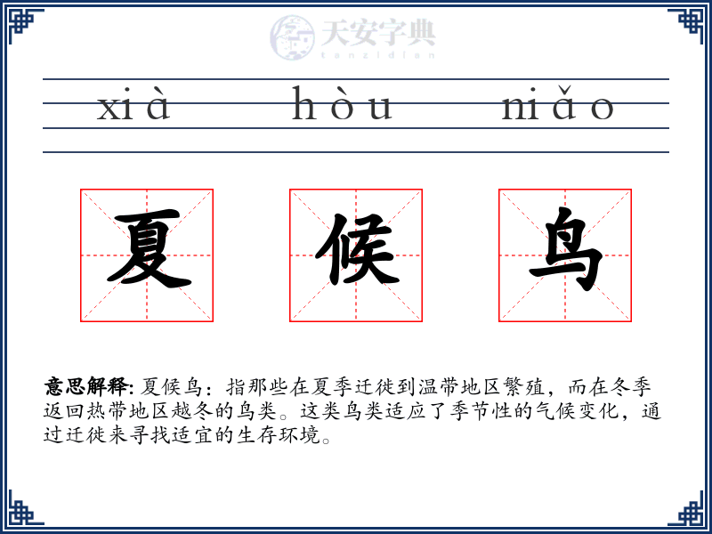 夏候鸟