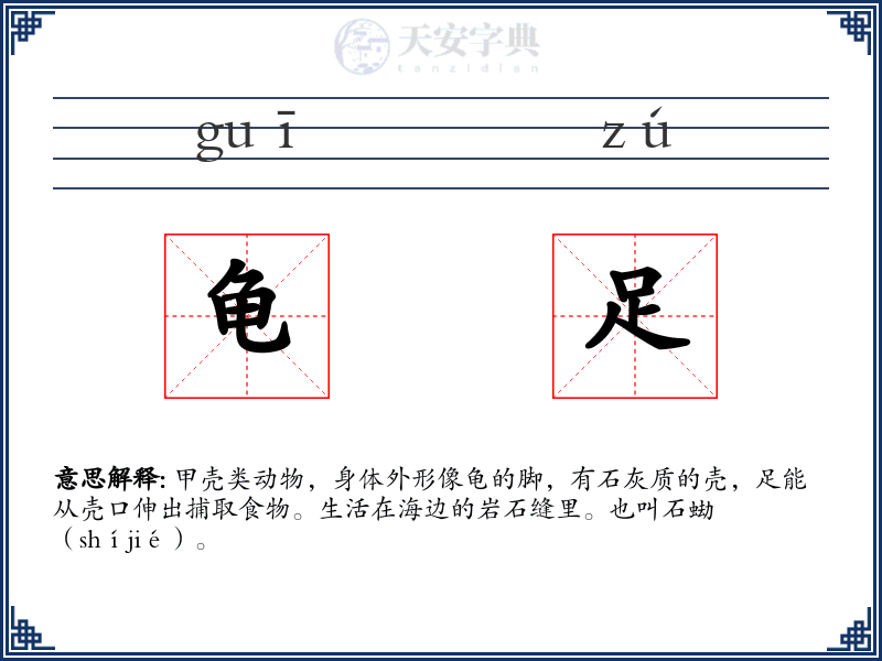 龟足