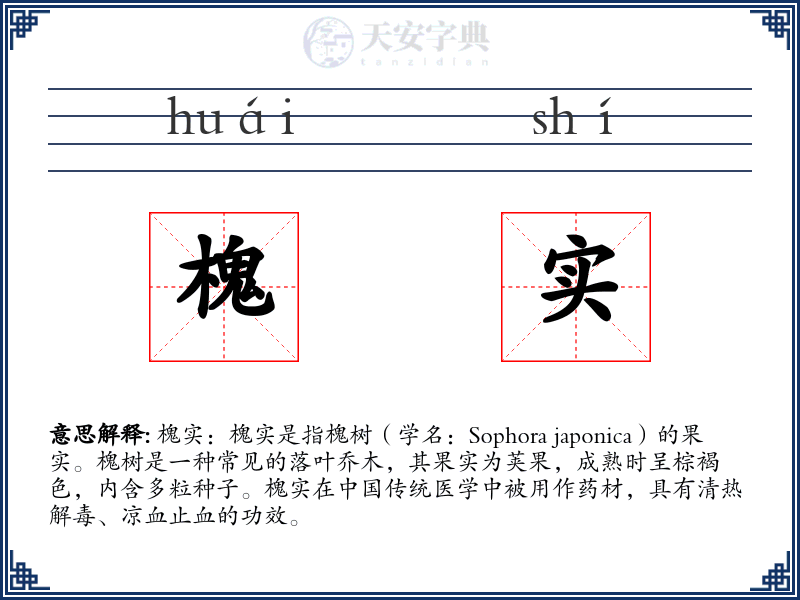 槐实