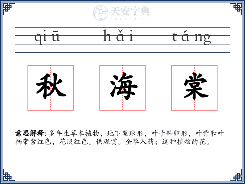 秋海棠