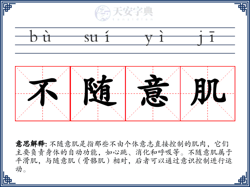 不随意肌