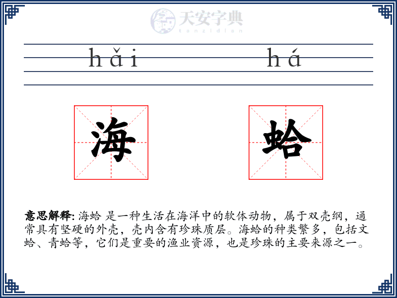 海蛤