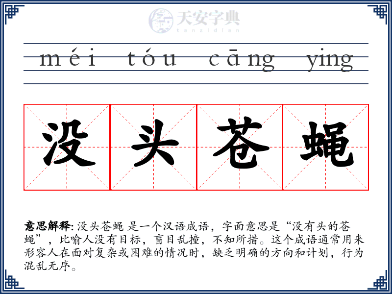 没头苍蝇