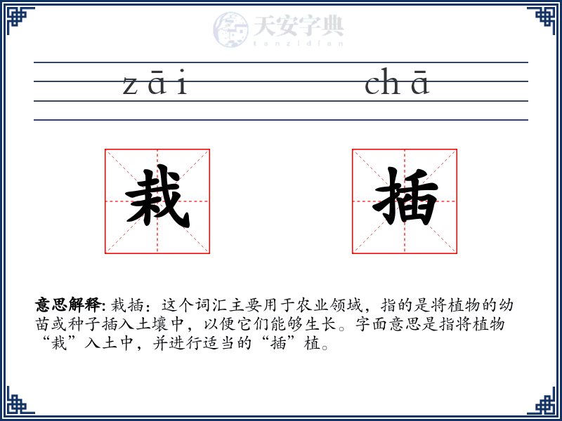 栽插