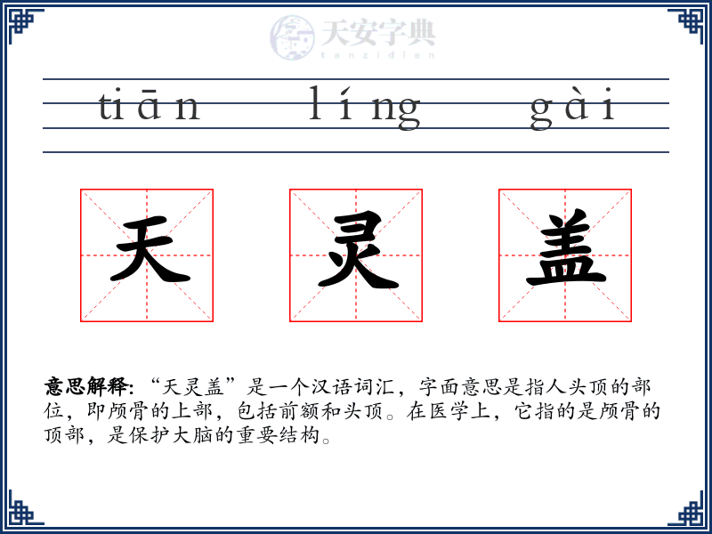 天灵盖
