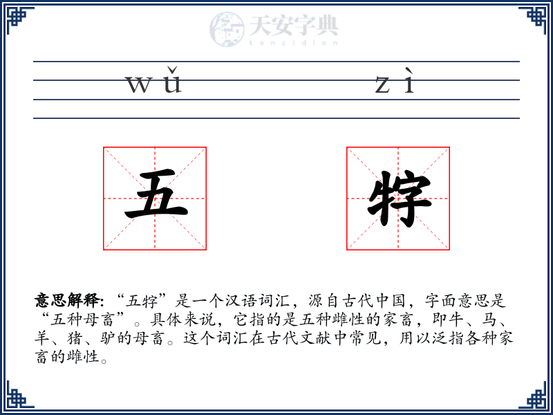 五牸