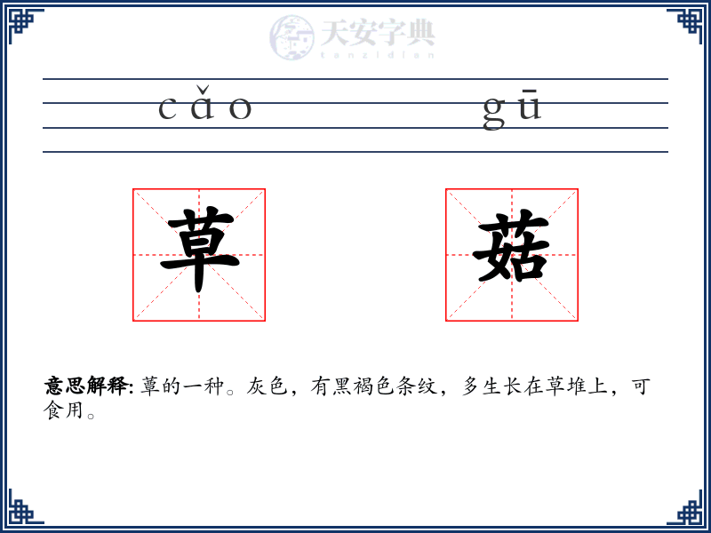 草菇