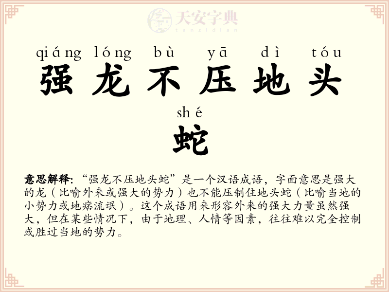 强龙不压地头蛇