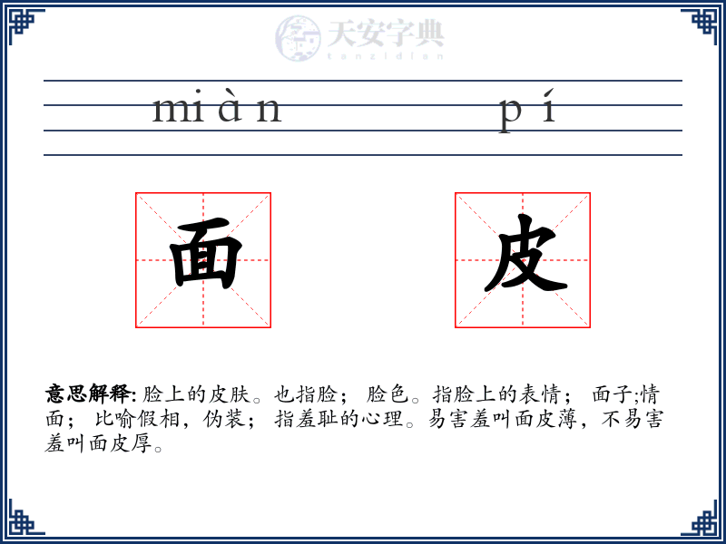 面皮