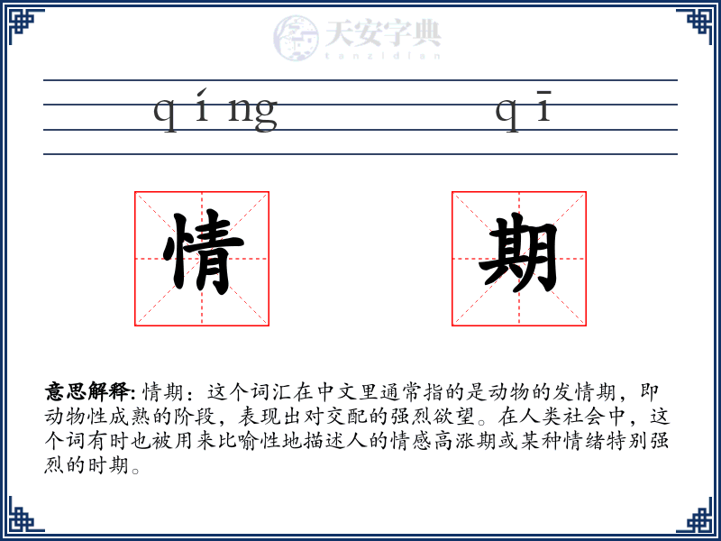 情期